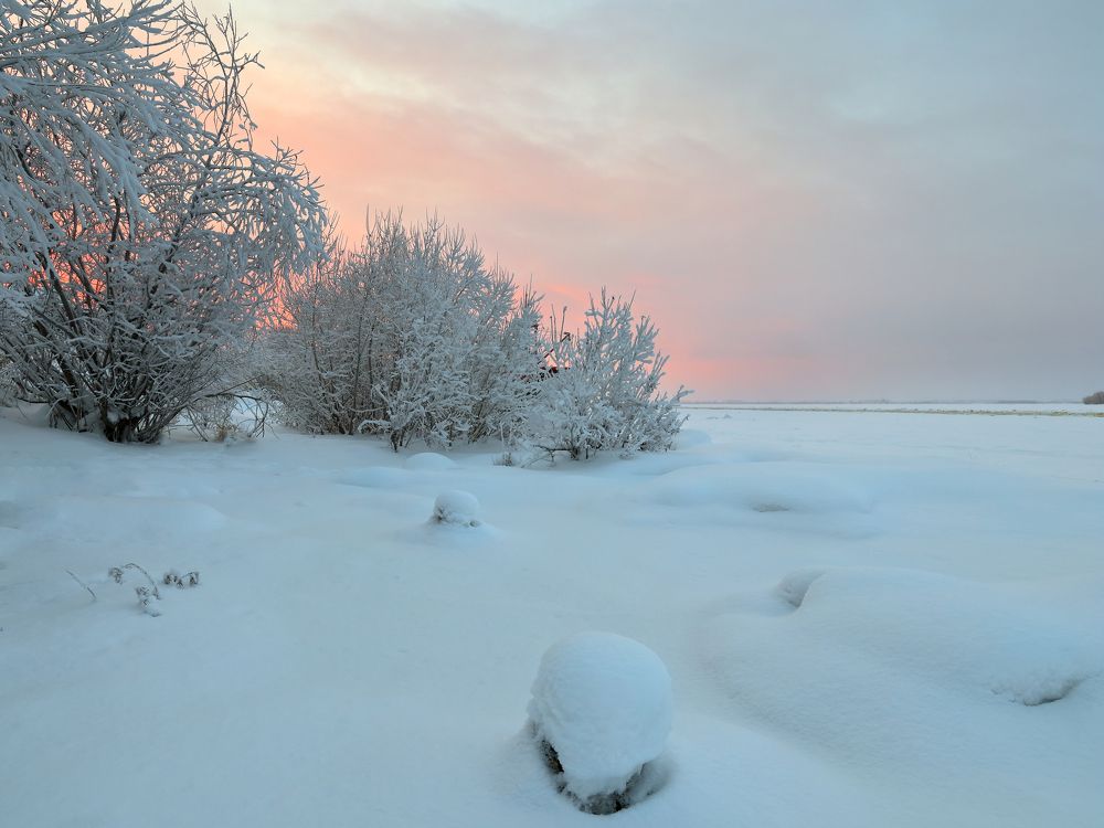 Photograph by Титов Александр