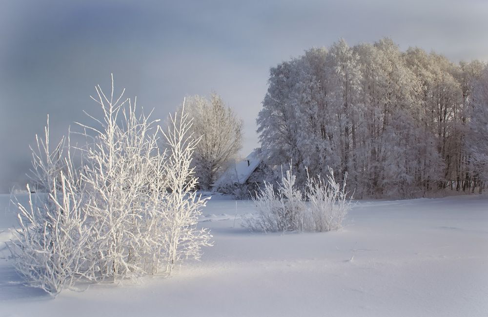 Ну, зима!.. Сугробит, стужит, заметает, крутит, вьюжит...