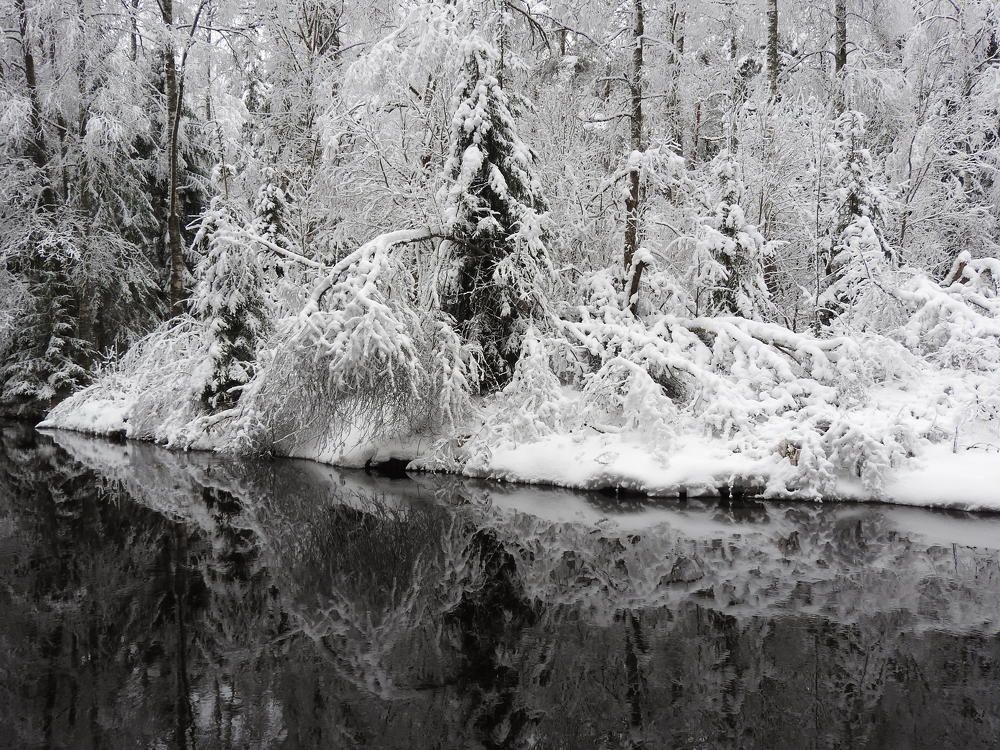 Фотография автора Юлия Овчинникова