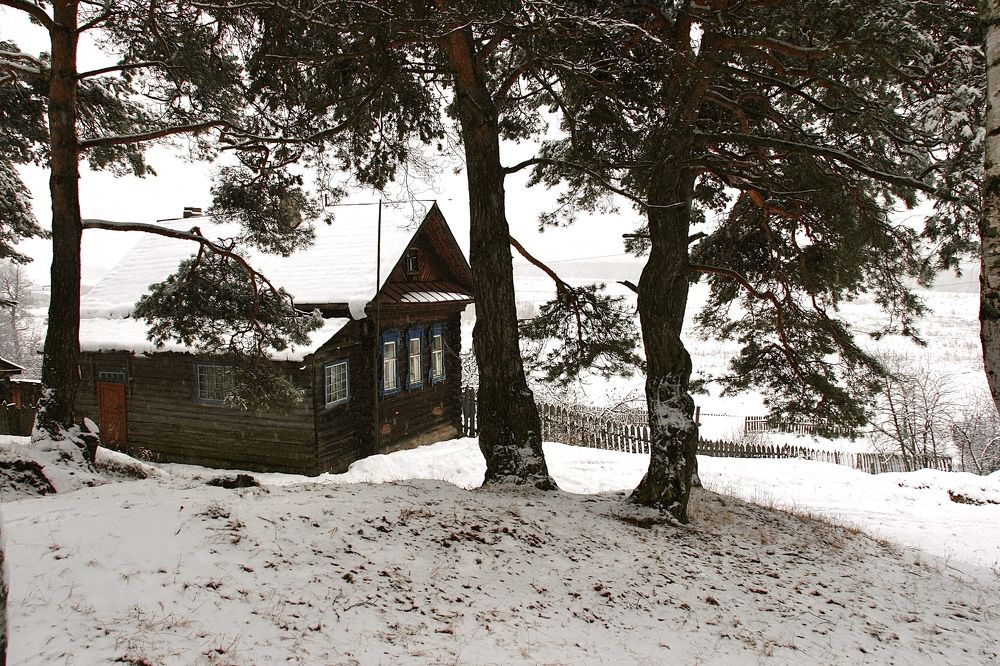 Photograph by Елена Макшеева