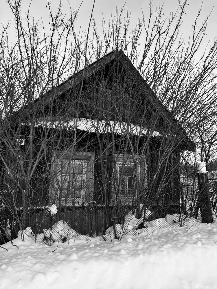 Photograph by Мария Халуторных