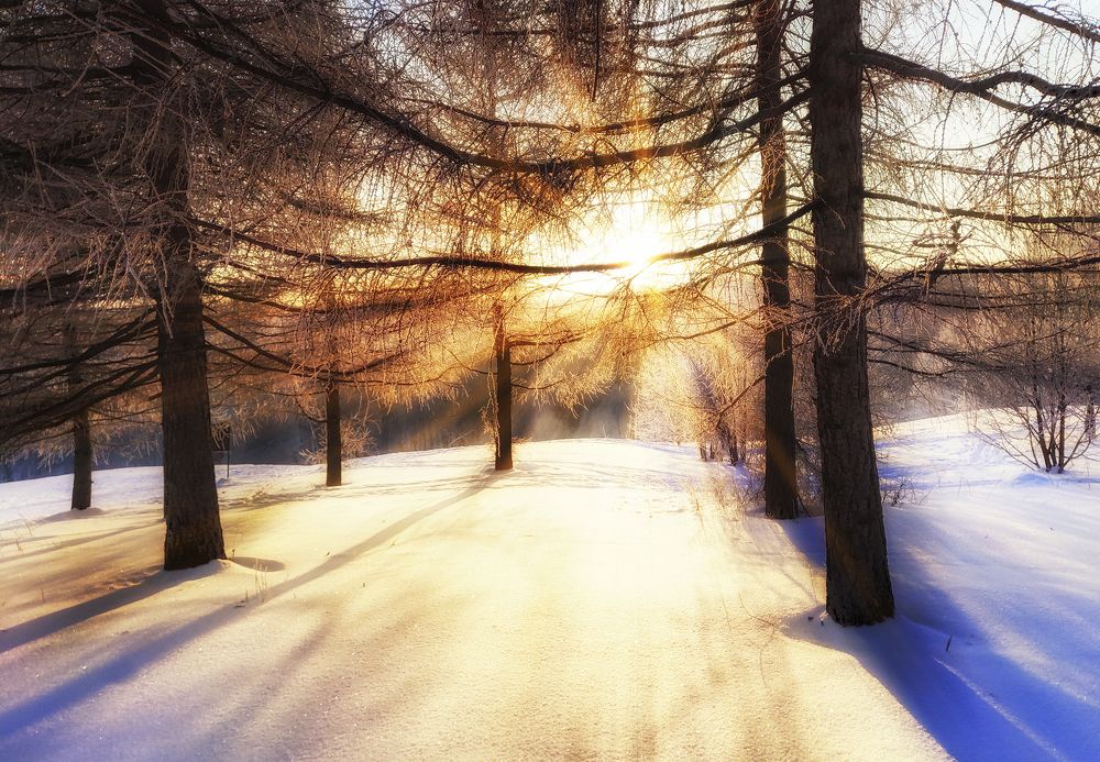 Photograph by Natalia Bolotenkova