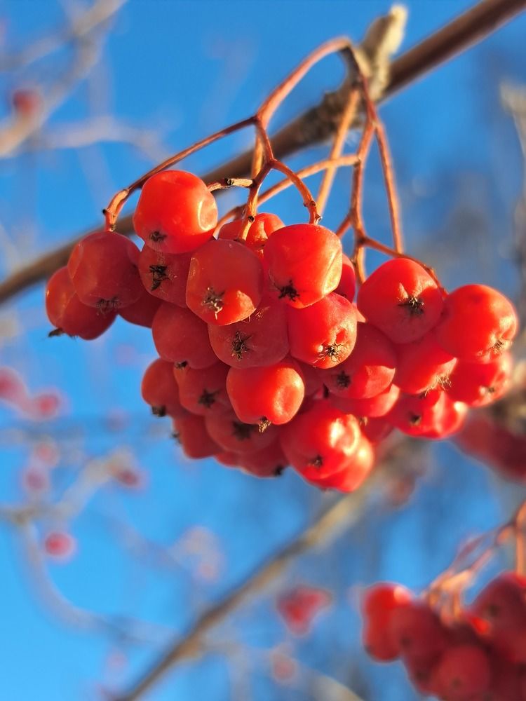 Photograph by Валентина Нохрина