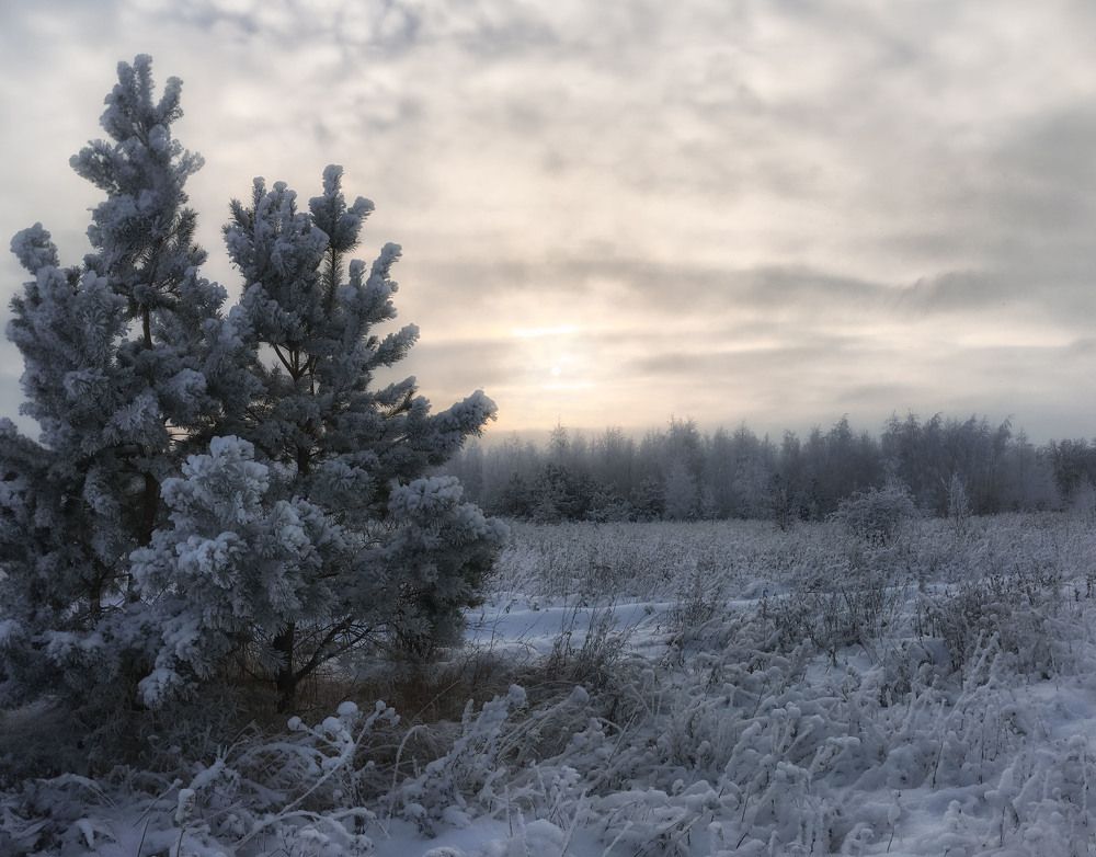 Photograph by Иван Мосьянов