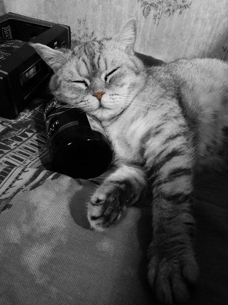 Фотография автора Владислава Андрюнина