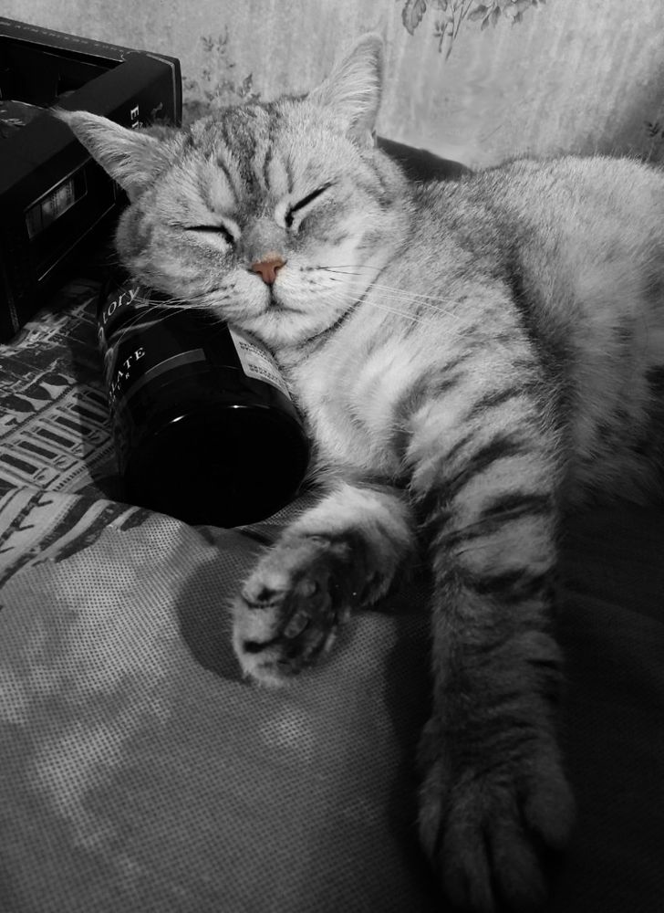 Фотография автора Владислава Андрюнина