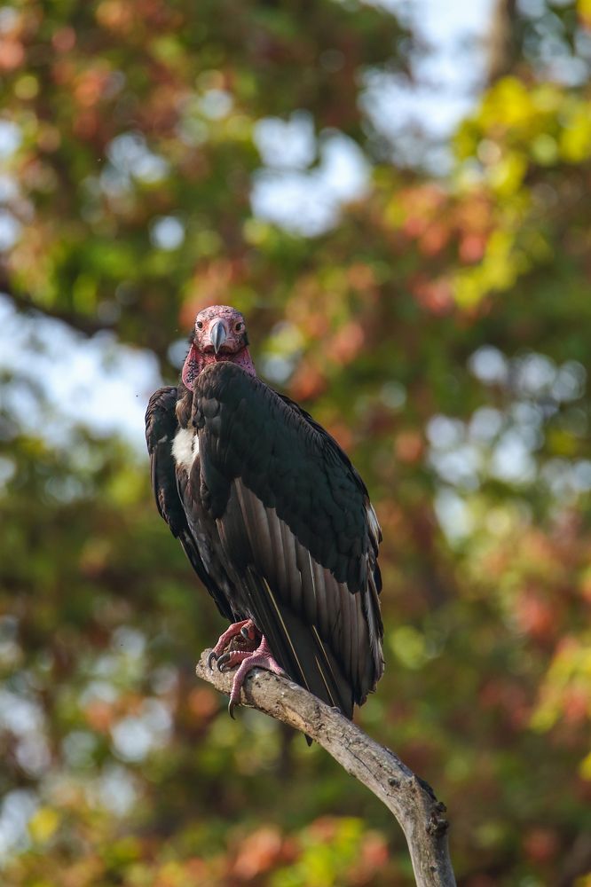 Photograph by Patel Jay