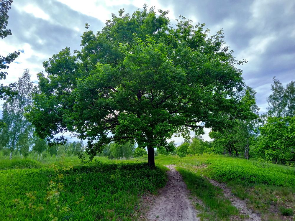 Photograph by Александр Гришин