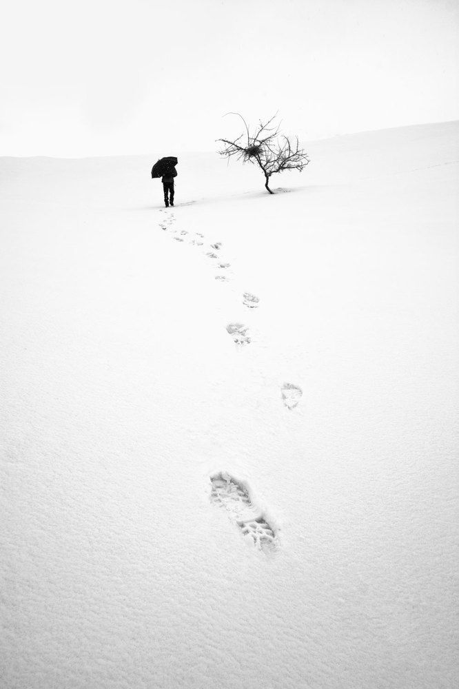 Photograph by Tayeb Ahmadi