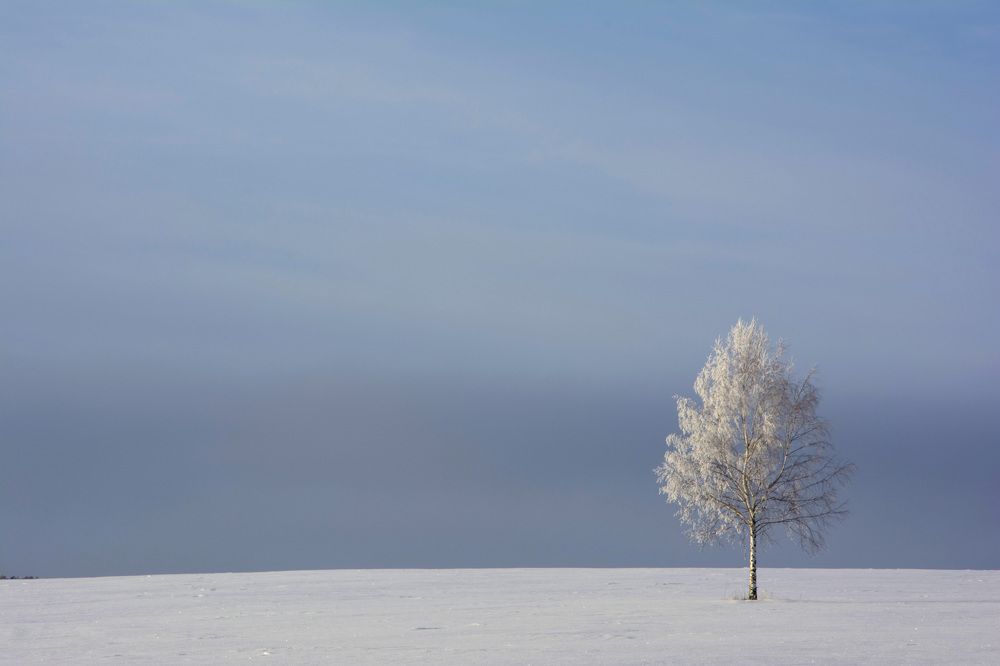 Photograph by Винокуров Игорь