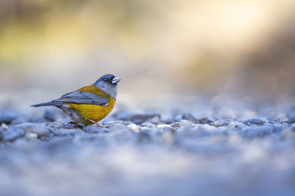 Photograph by Merche Llobera