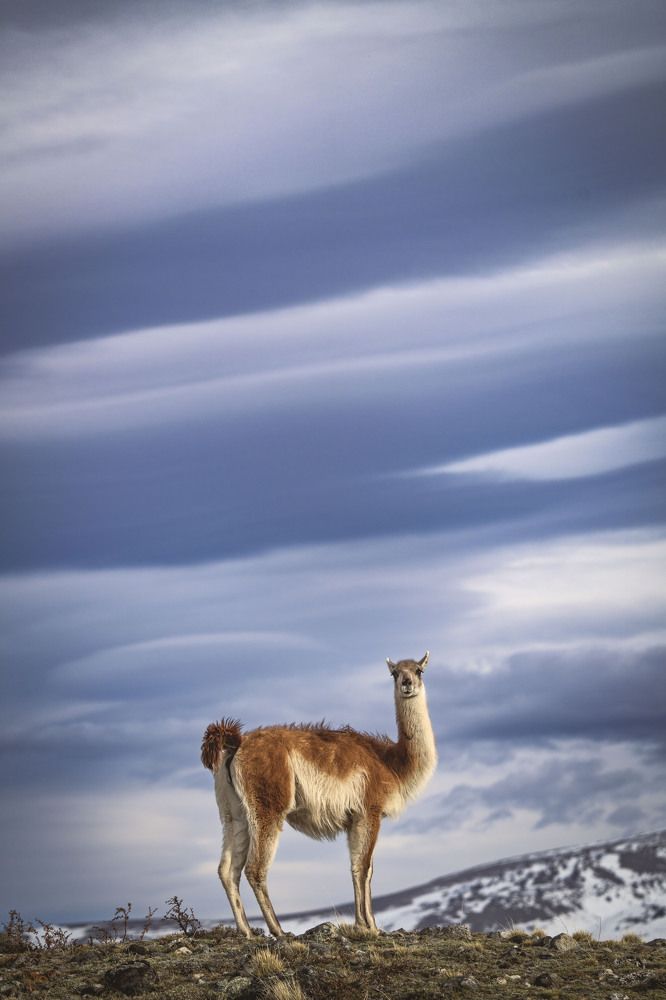 Photograph by Merche Llobera