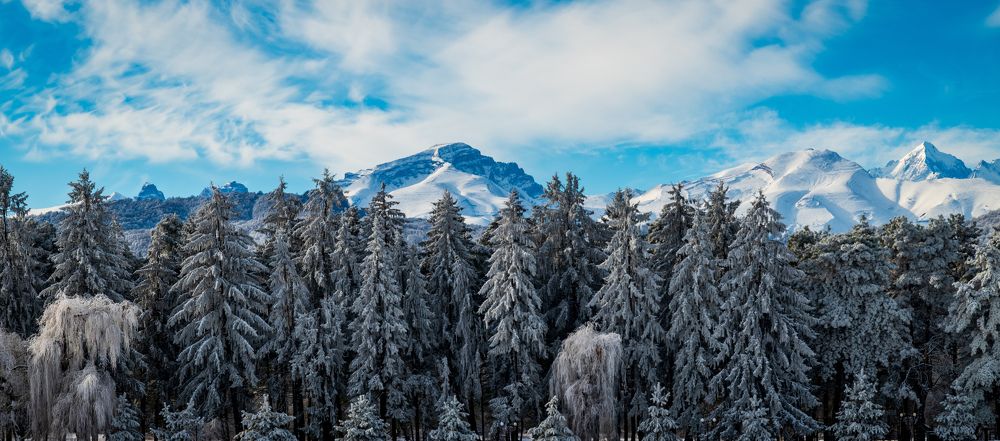 Фотография автора Дмитрий Referee