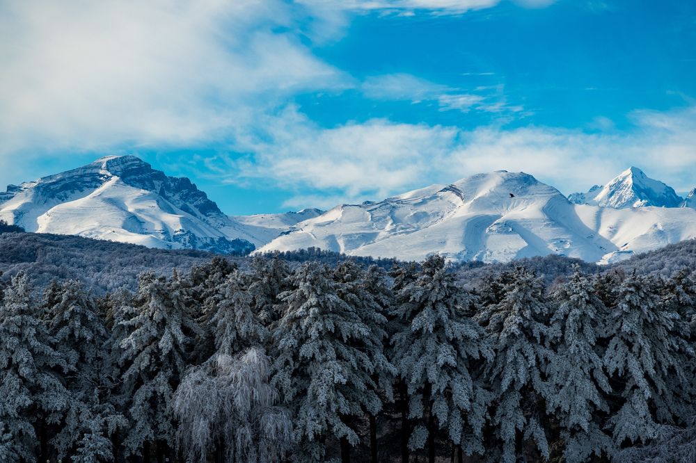 Фотография автора Дмитрий Referee
