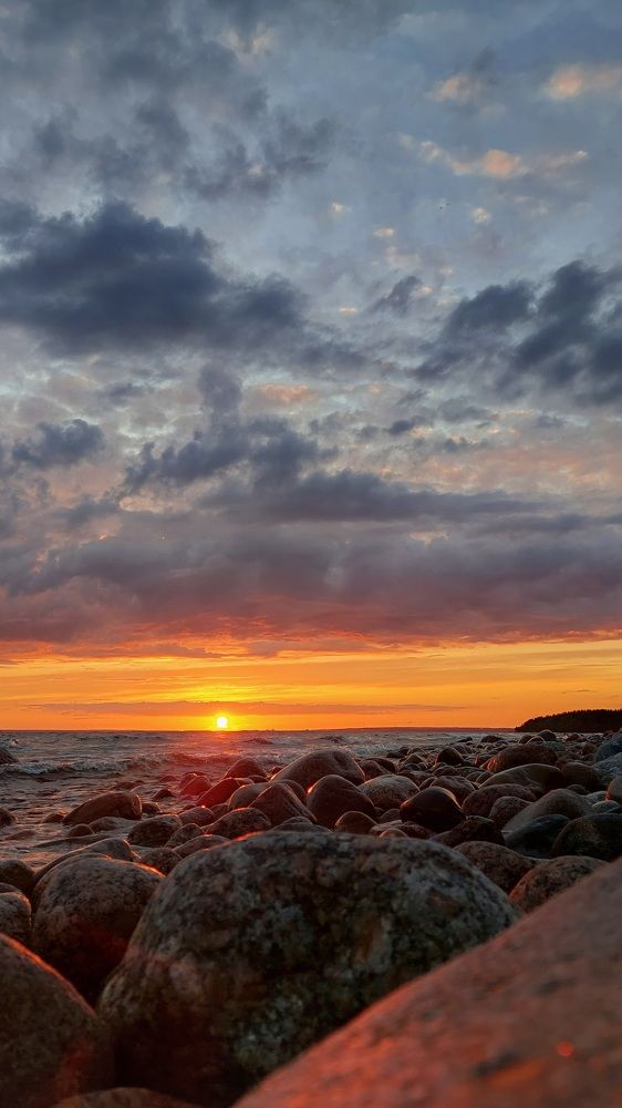 Фотография автора Елизавета Ковалева