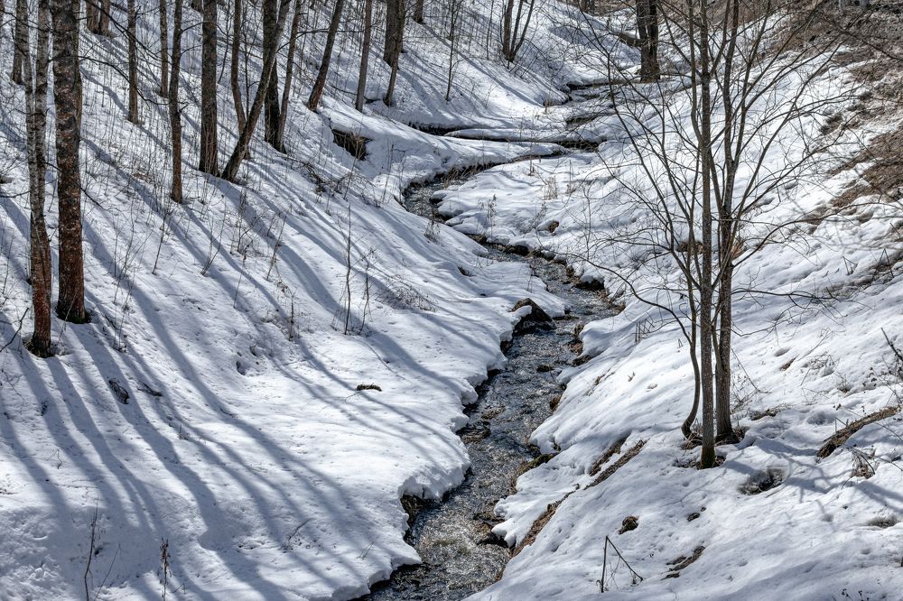 Photograph by Сергей Каретин