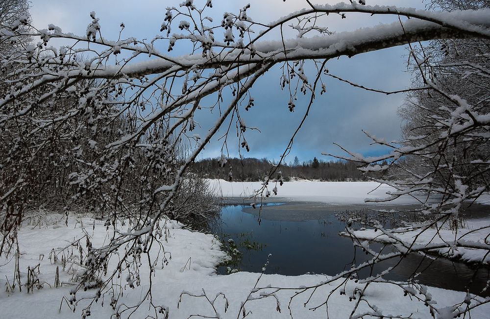 Фотография автора Олег Анатольевич Загорулько