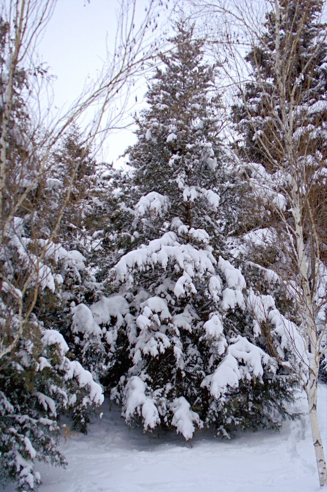 Photograph by Maks315519