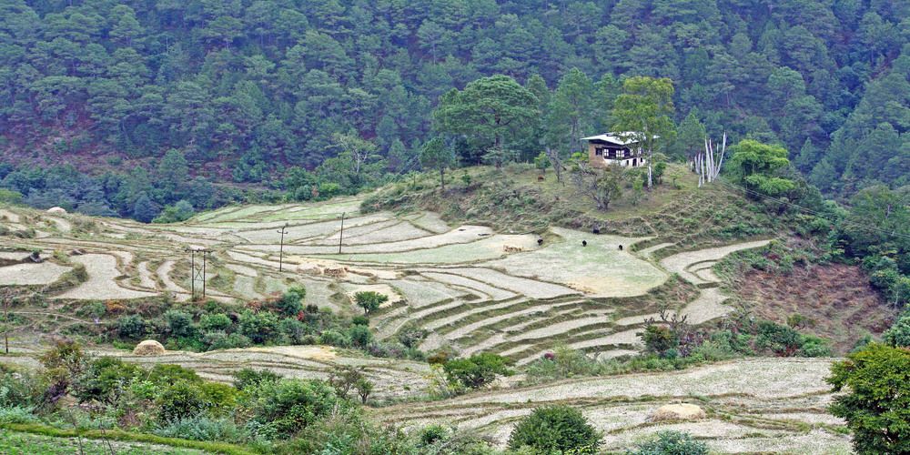 Photograph by subhash purohit