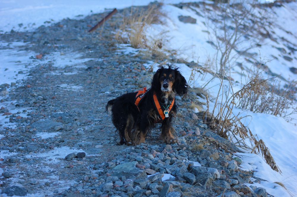 Photograph by Томирис Жаксыгалиева