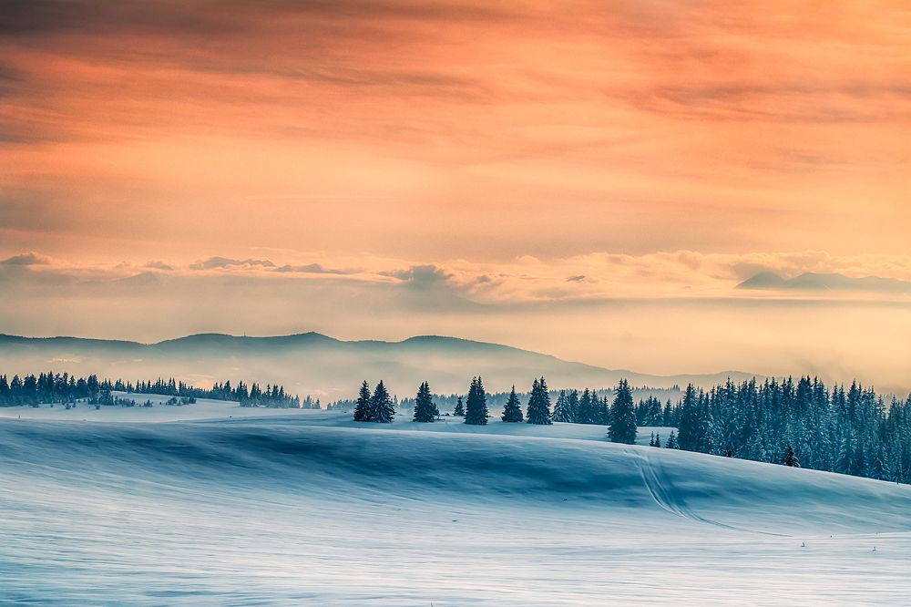 Photograph by Petya Lazarova