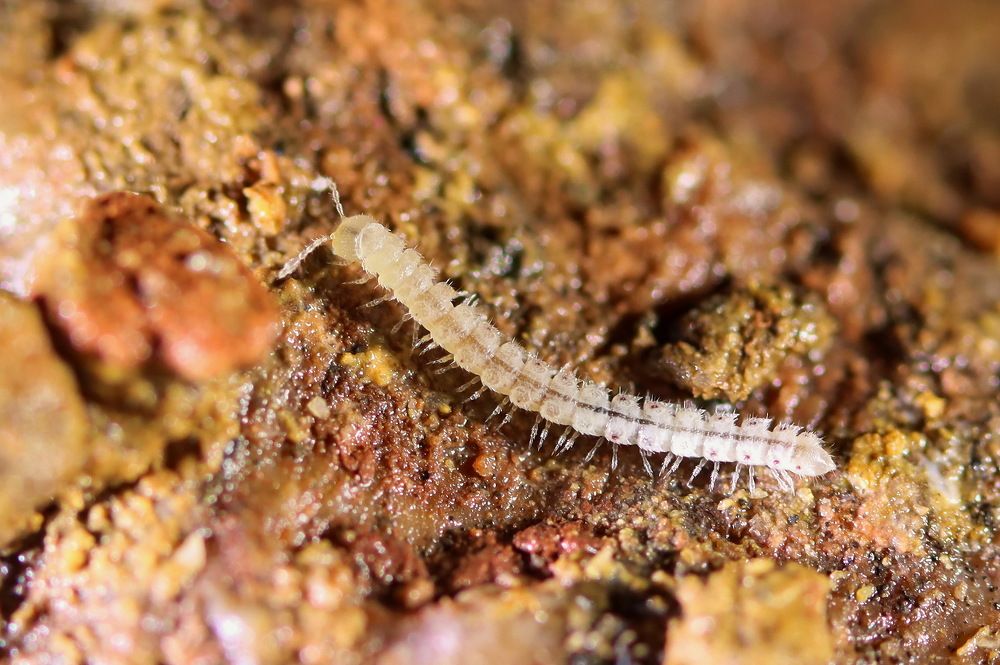 Photograph by Прокопов Григорий