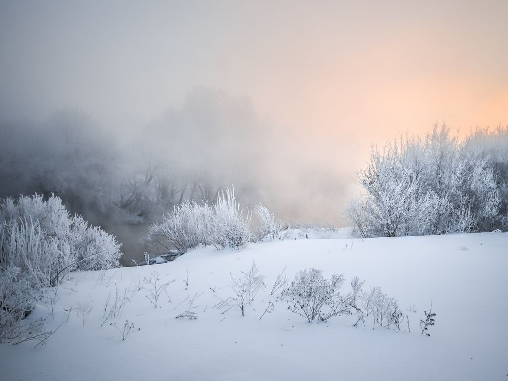 Фотография автора Игорь Васильев