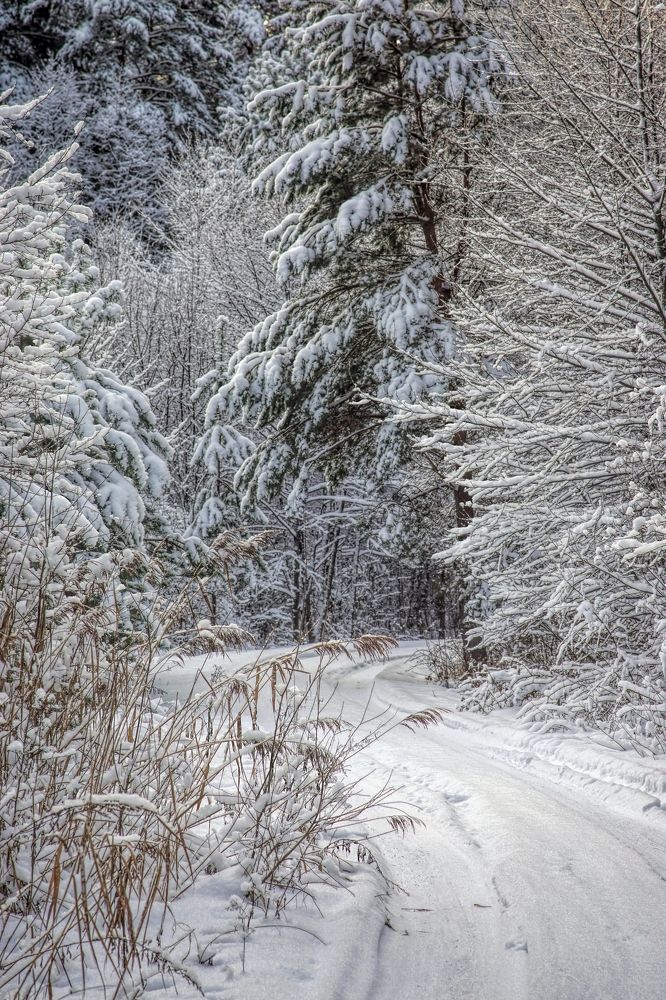 Photograph by Наталья Кащеева