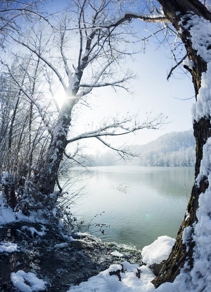 Фотография автора Евгения Малашенко