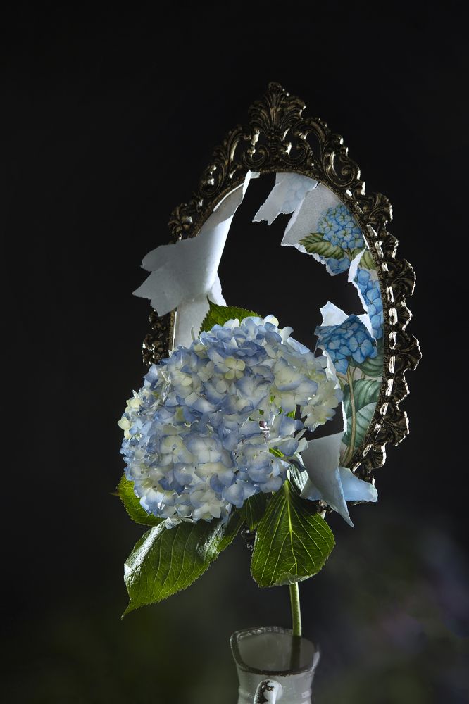 Photograph by Kostomarova Alla