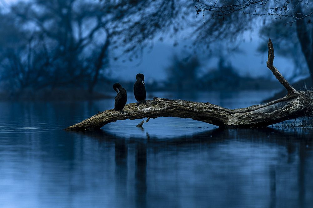 Photograph by Rahul Dev