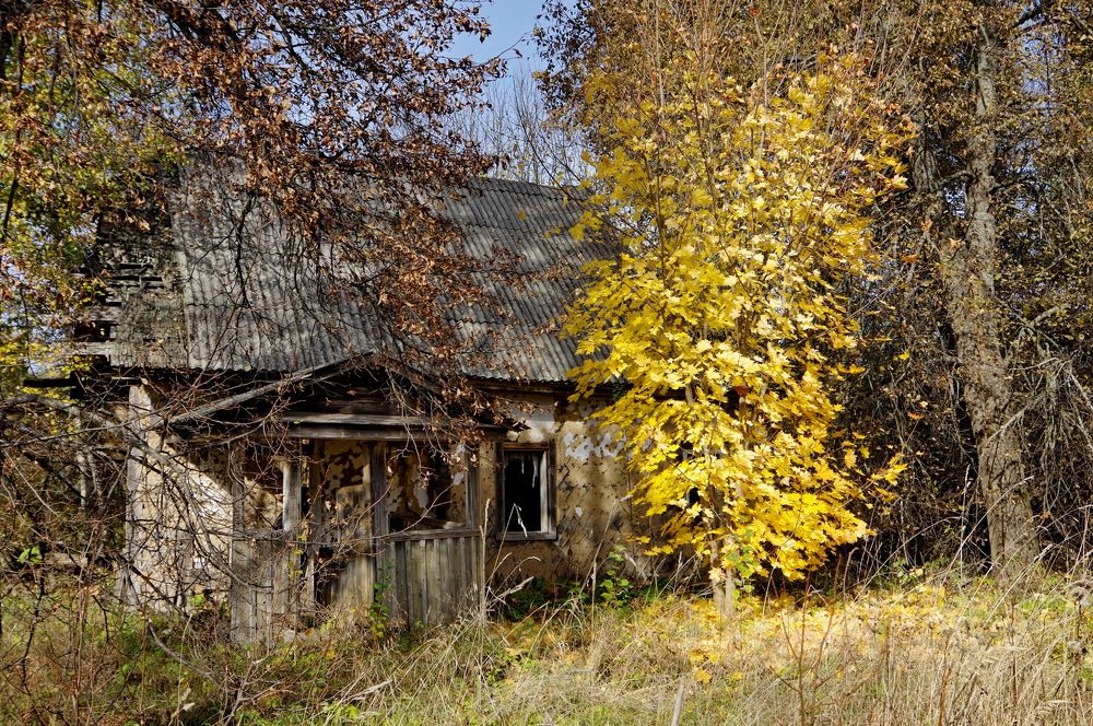 Photograph by Наталья Кащеева