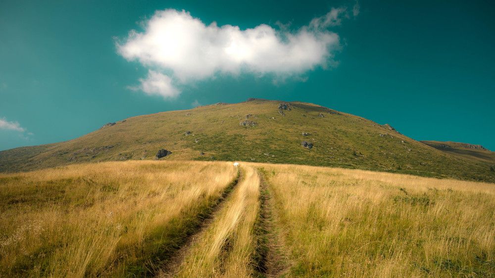 Мартинова чука