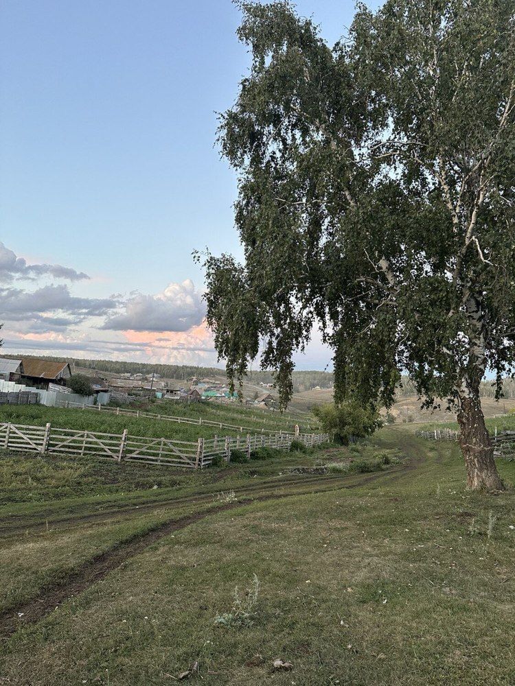 Photograph by Зинара Баймухаметова