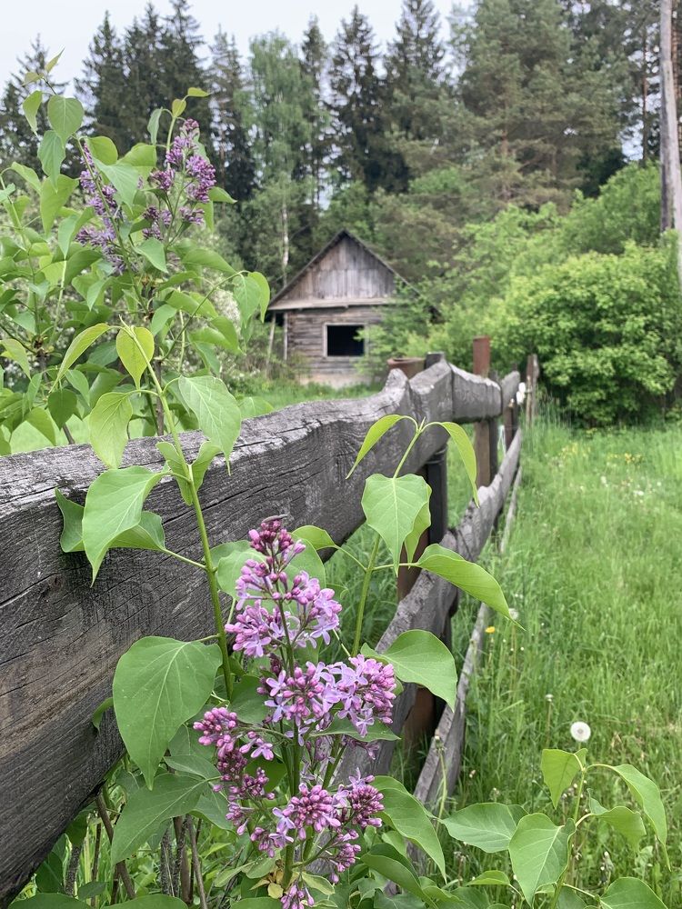 Фотография автора Ирина Шпаковская