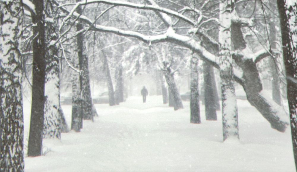 Photograph by Мария
