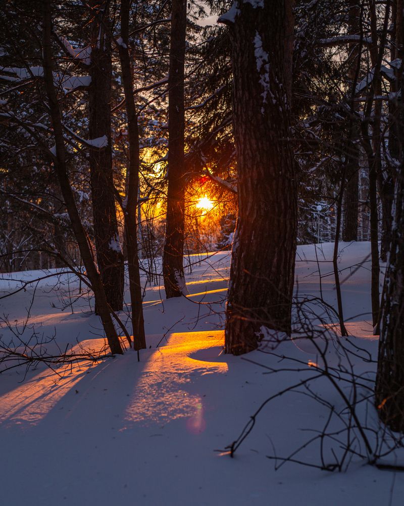 Фотография автора Татьяна Перминова