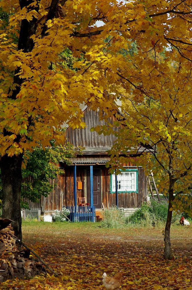 Photograph by Наталья Кащеева