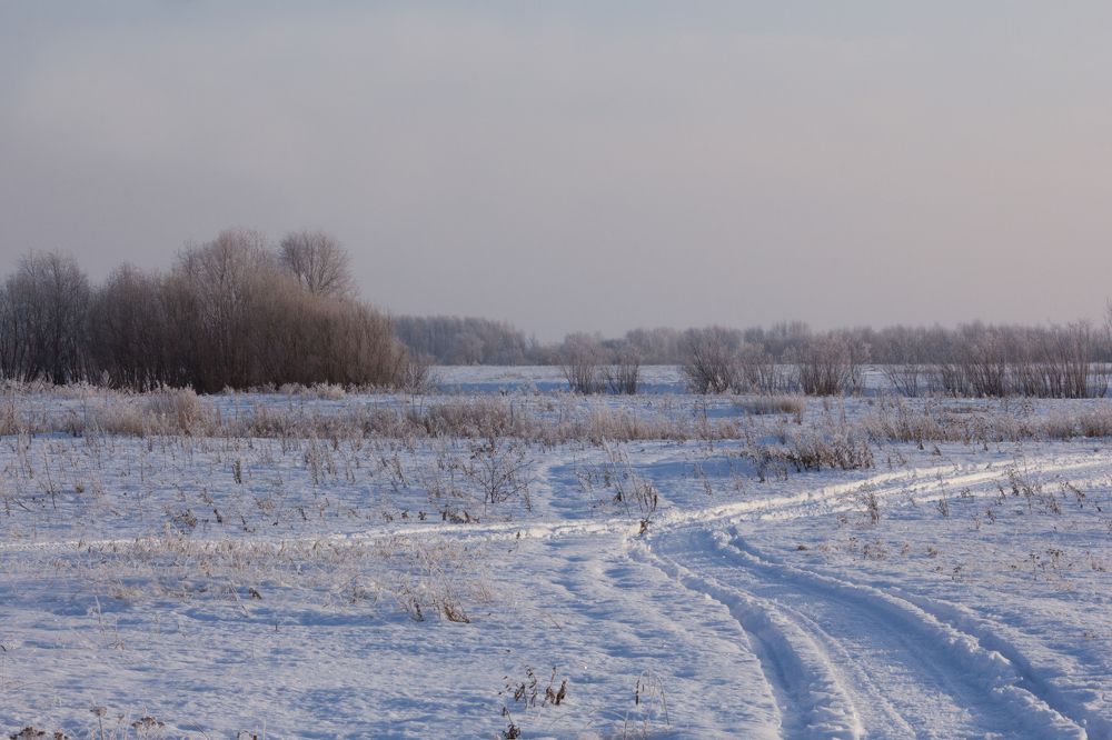 Photograph by Екатерина Воронкова