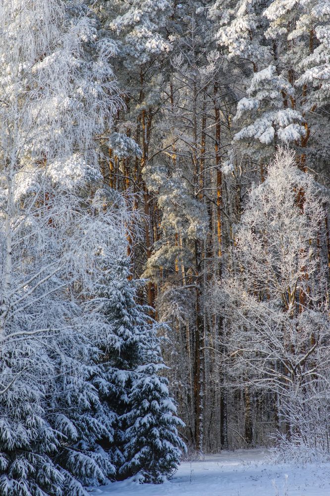 Photograph by Наталья Кащеева