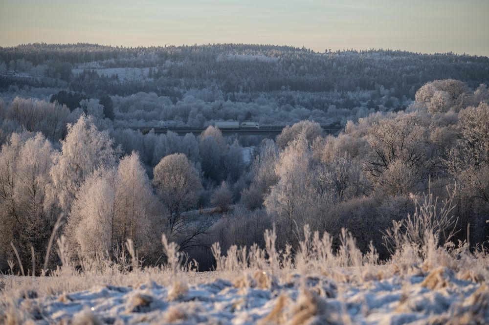 Photograph by Linda Persson