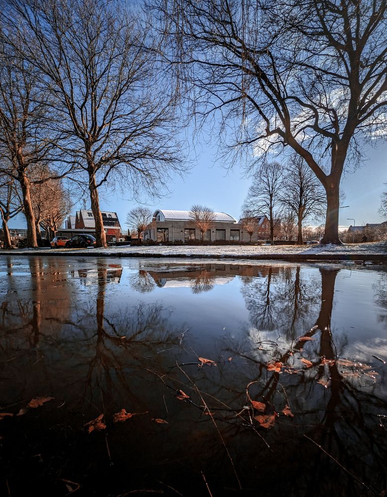 Фотография автора Ксения Шляйхер