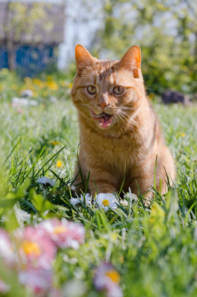 Photograph by Полина Хрол