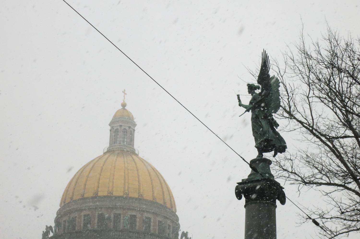 Photo #10175756