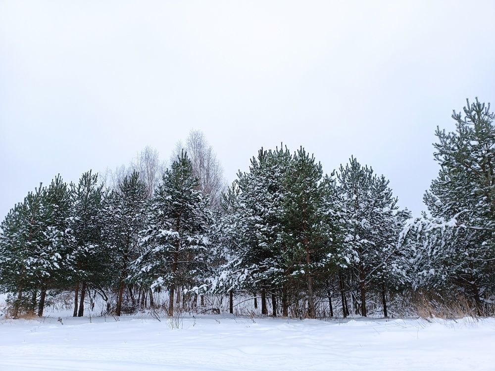 Photograph by Анна Лернер