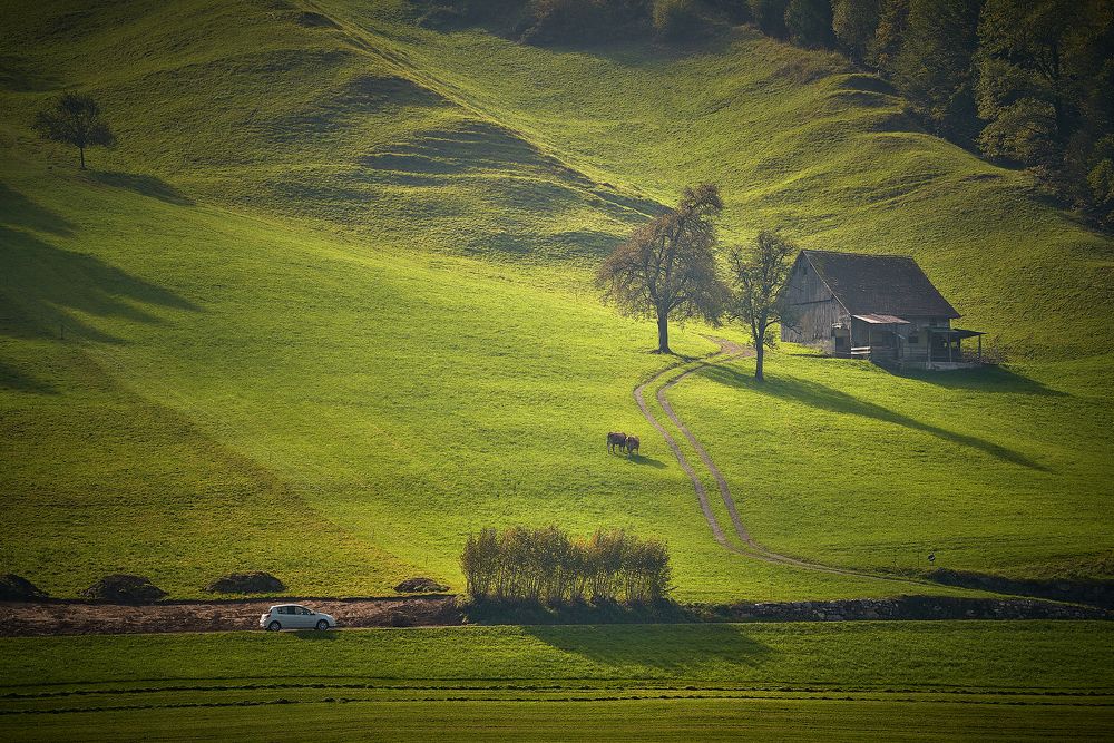 Photograph by Boris Bekelman