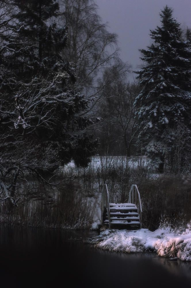 Photograph by Полина Хрол