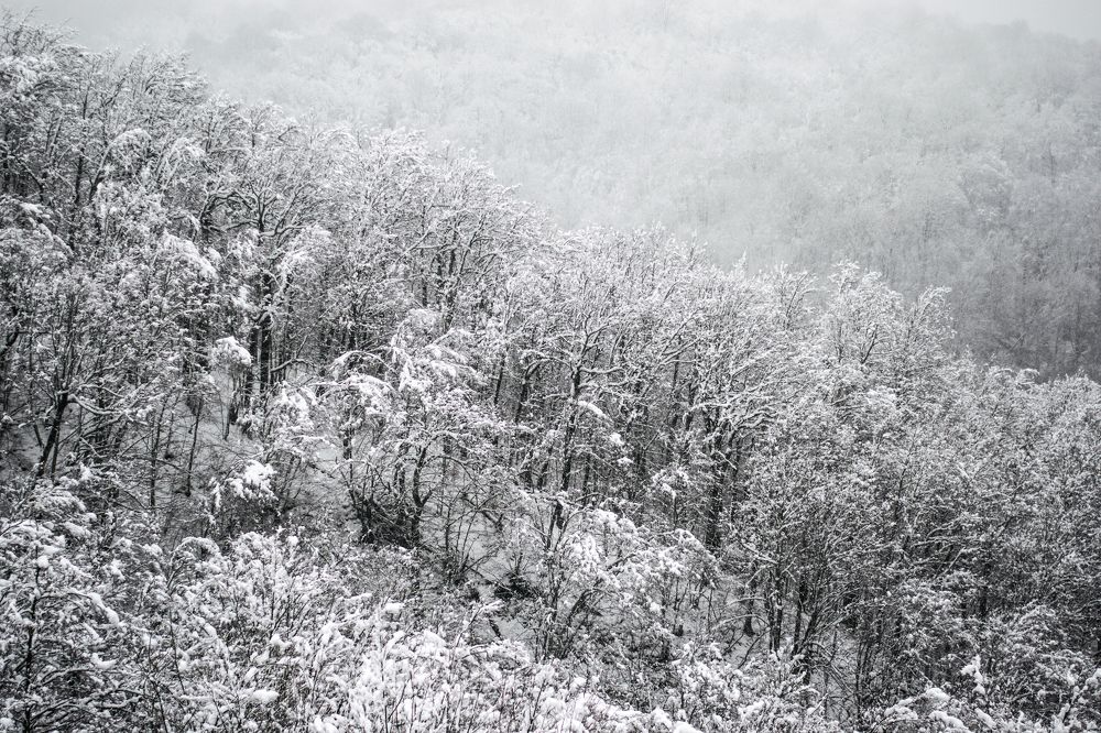 Photograph by Alexandra Mazur