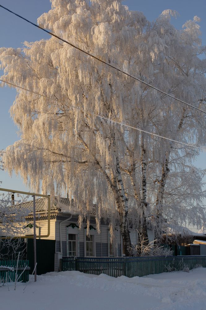 Photograph by Екатерина Воронкова