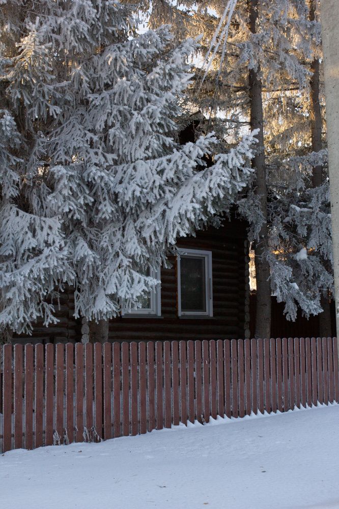 Photograph by Екатерина Воронкова